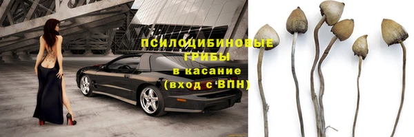 синтетический гашиш Богородицк